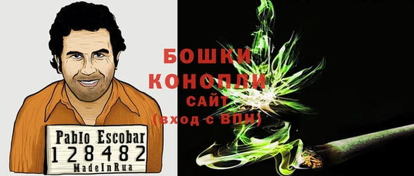 тгк Бородино
