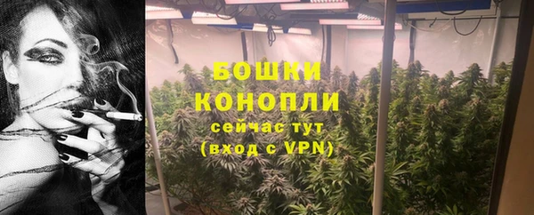 мдпв Бронницы