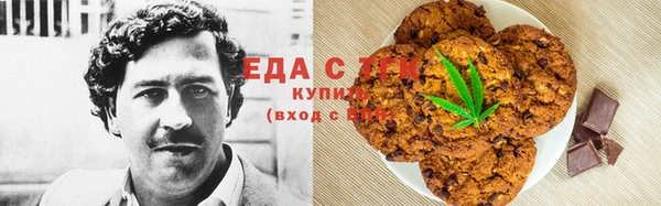 тгк Бородино