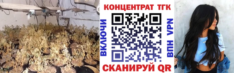 наркота  Нальчик  Дистиллят ТГК THC oil 