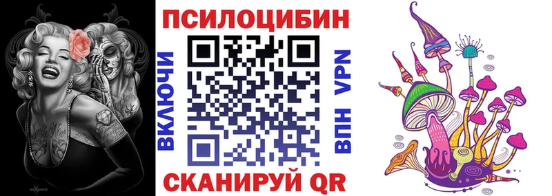 где продают наркотики  Нальчик  даркнет какой сайт  Псилоцибиновые грибы мицелий 